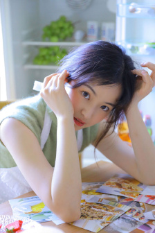立案侦查电视剧免费观看